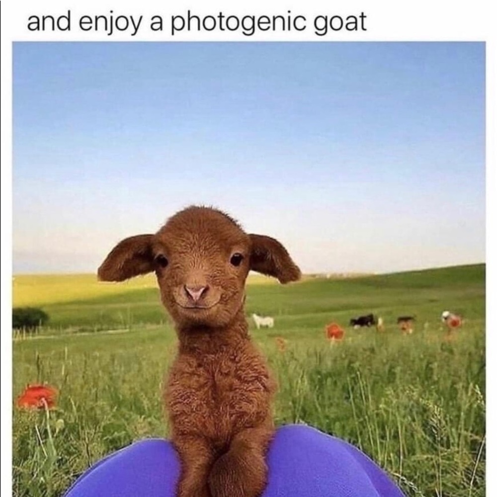 Meet your Posher, Mary kay